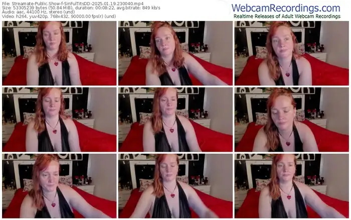 streamate-sinfultitsdd-01-19-2025-23-00-40