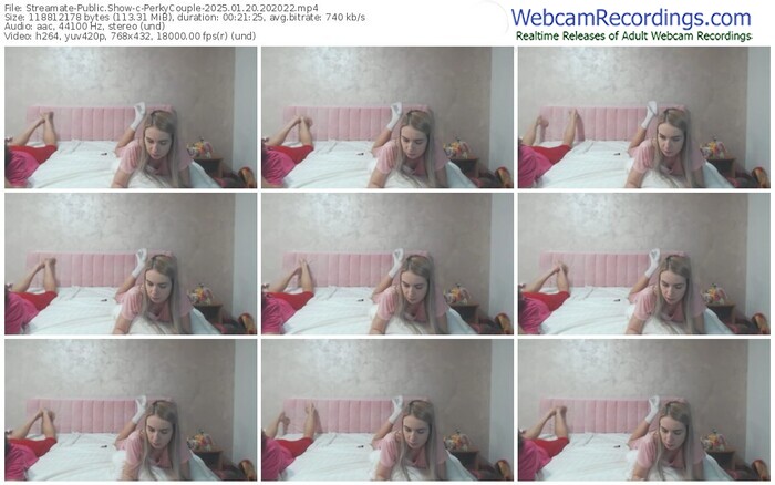 streamate-perkycouple-01-20-2025-20-20-22