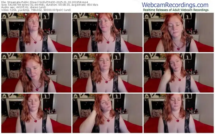 streamate-sinfultitsdd-01-20-2025-20-19-58