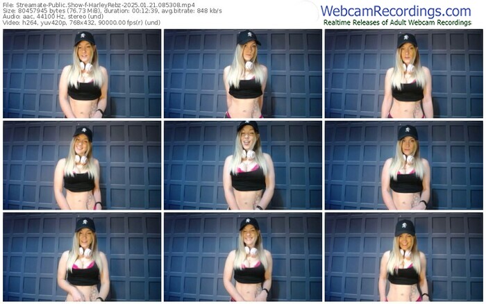 streamate-harleyrebz-01-21-2025-08-53-08