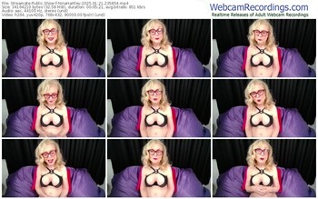 streamate-ninahartley-01-21-2025-23-58-54