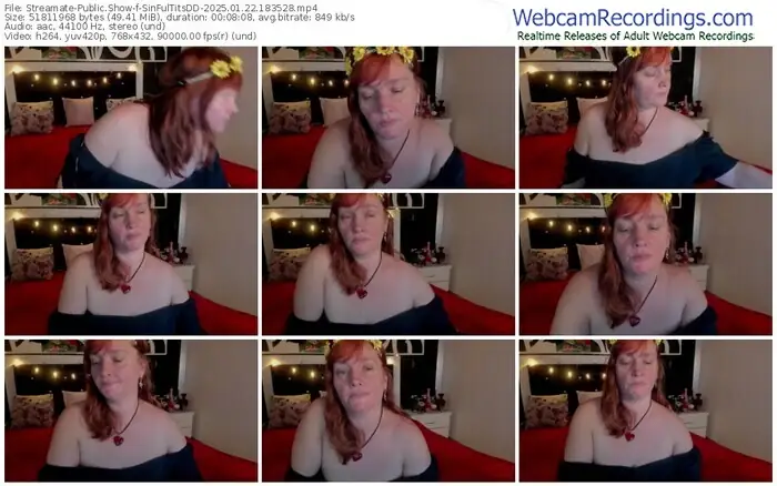 streamate-sinfultitsdd-01-22-2025-18-35-28