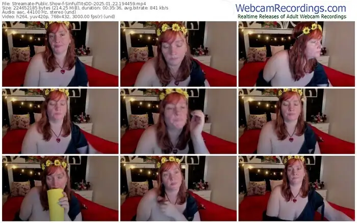 streamate-sinfultitsdd-01-22-2025-19-44-59