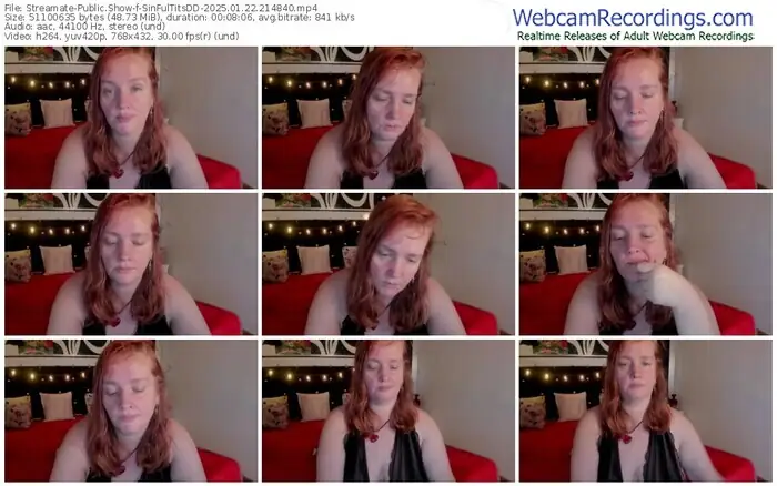 streamate-sinfultitsdd-01-22-2025-21-48-40