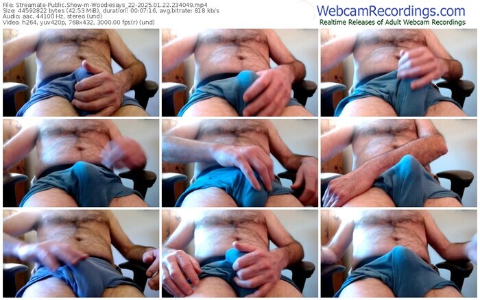 streamate-woodiesays_22-01-22-2025-23-40-49