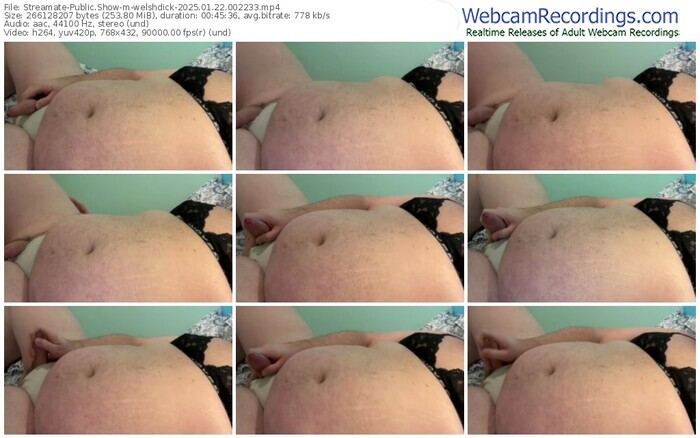streamate-welshdick-01-22-2025-00-22-33