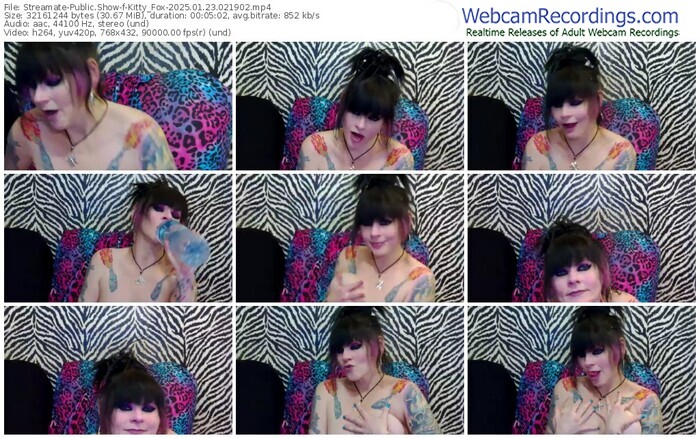 streamate-kitty_fox-01-23-2025-02-19-02