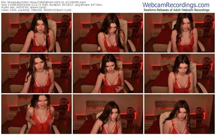 streamate-stellafrost-01-23-2025-23-59-06