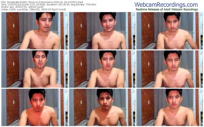 streamate-davislewis-01-23-2025-01-29-13