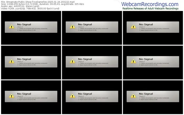 streamate-icedanielles-01-24-2025-20-32-22
