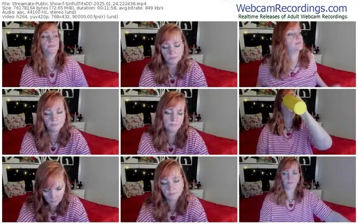 streamate-sinfultitsdd-01-24-2025-22-24-36