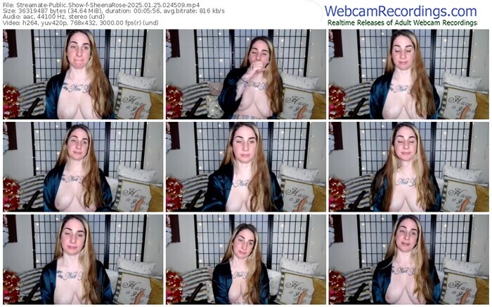 streamate-sheenarose-01-25-2025-02-45-09
