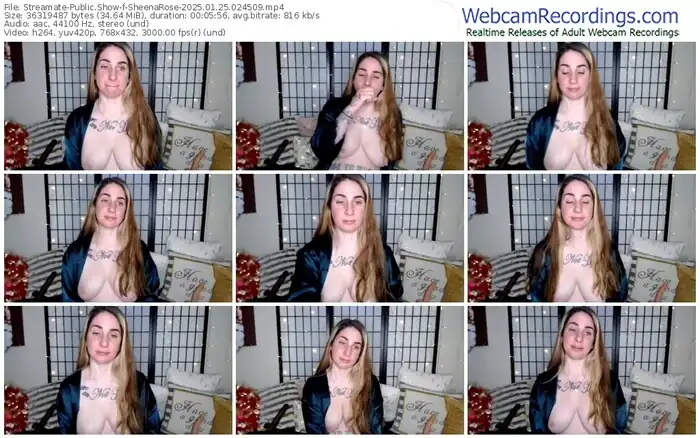 streamate-sheenarose-01-25-2025-02-45-09