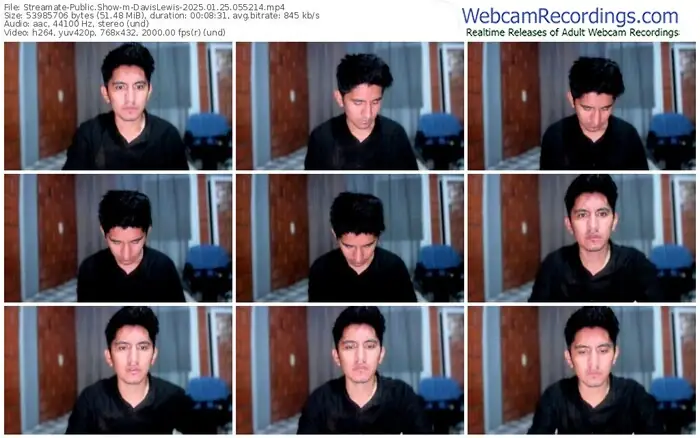 streamate-davislewis-01-25-2025-05-52-14