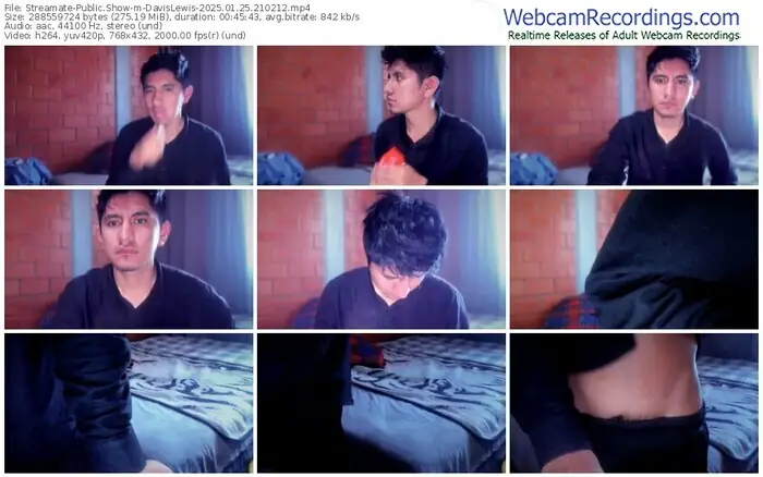 streamate-davislewis-01-25-2025-21-02-12