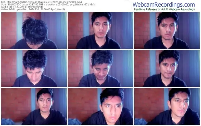 streamate-davislewis-01-25-2025-22-29-13