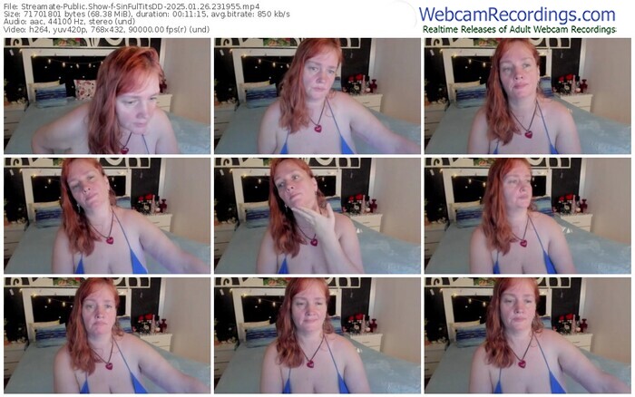 streamate-sinfultitsdd-01-26-2025-23-19-55