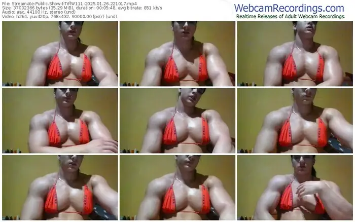 streamate-tiffw111-01-26-2025-22-10-17
