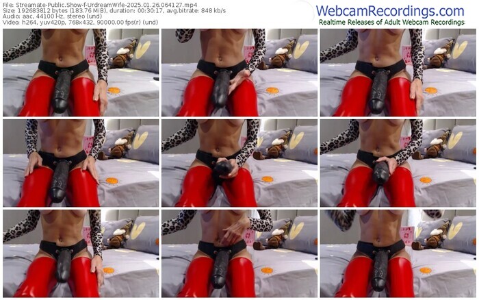 streamate-urdreamwife-01-26-2025-06-41-27