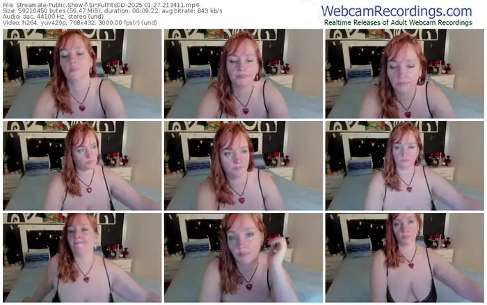 streamate-sinfultitsdd-01-27-2025-21-34-11