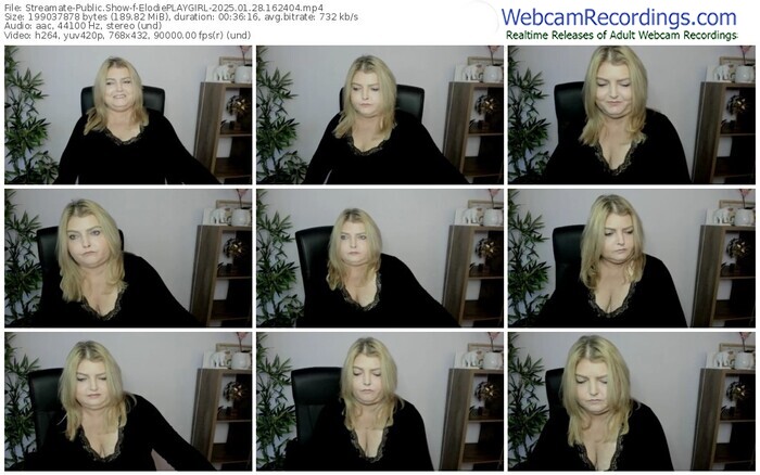 streamate-elodieplaygirl-01-28-2025-16-24-04