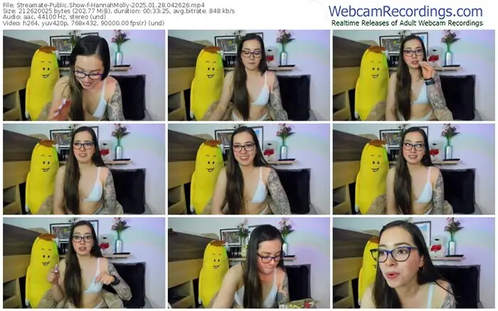 streamate-hannahmolly-01-28-2025-04-26-26