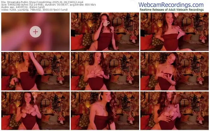 streamate-joselinmay-01-28-2025-23-40-12