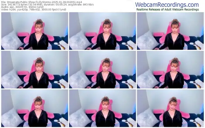 streamate-lillystormx-01-28-2025-09-20-51