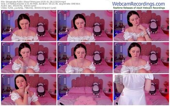 streamate-merylew-01-28-2025-12-20-24