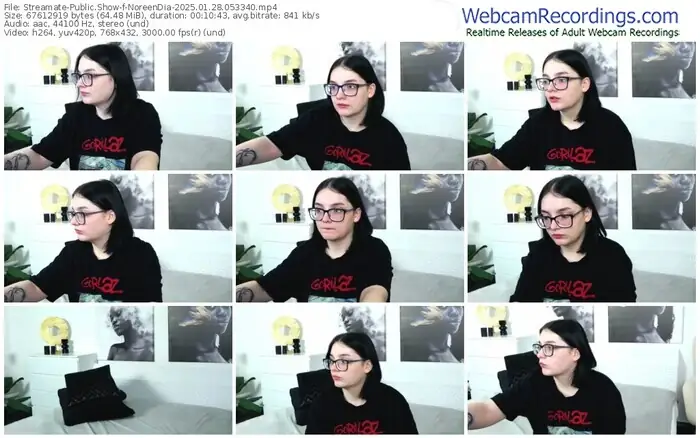 streamate-noreendia-01-28-2025-05-33-40