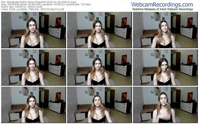 streamate-karawill-01-29-2025-00-01-21