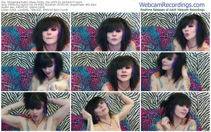 streamate-kitty_fox-01-29-2025-04-21-37