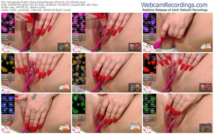 streamate-missmargie-01-29-2025-23-00-42