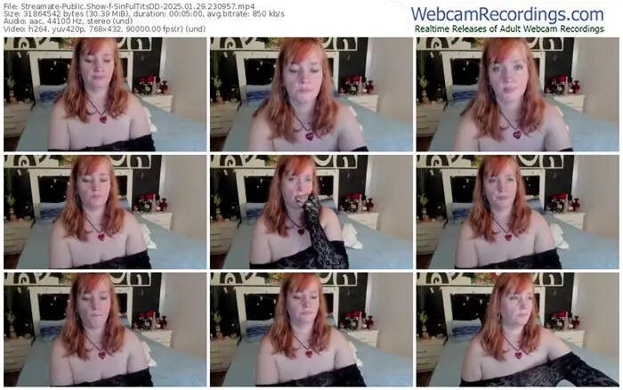 streamate-sinfultitsdd-01-29-2025-23-09-57