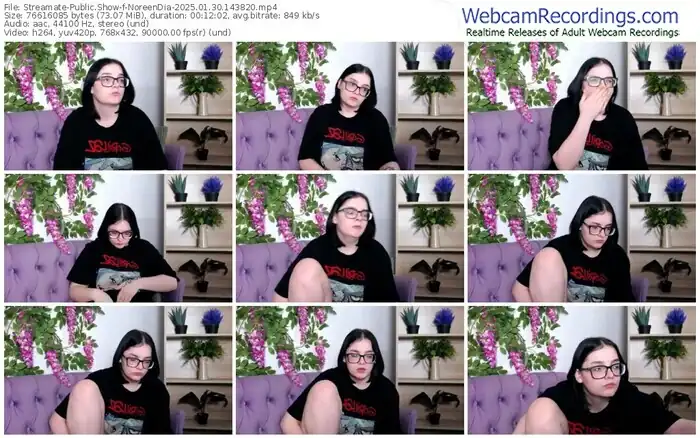 streamate-noreendia-01-30-2025-14-38-20