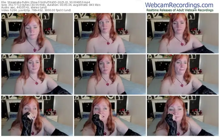 streamate-sinfultitsdd-01-30-2025-00-49-53