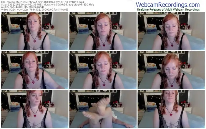 streamate-sinfultitsdd-01-30-2025-22-18-03