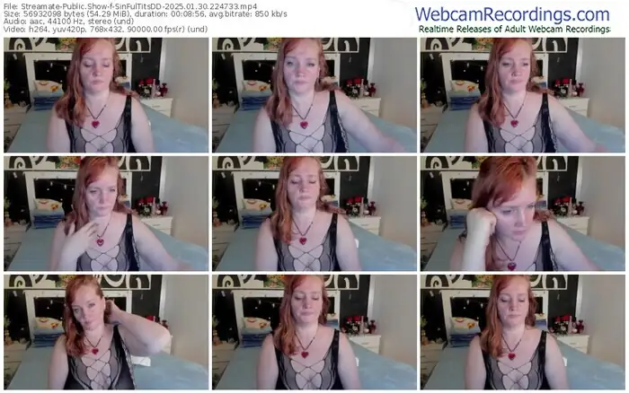 streamate-sinfultitsdd-01-30-2025-22-47-33