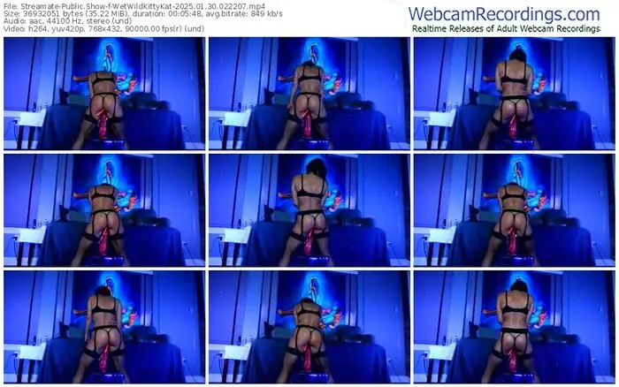 streamate-wetwildkittykat-01-30-2025-02-22-07
