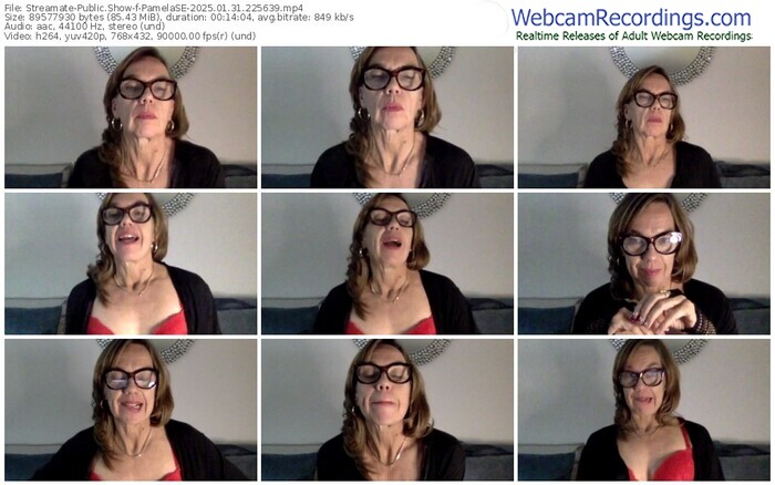 streamate-pamelase-01-31-2025-22-56-39