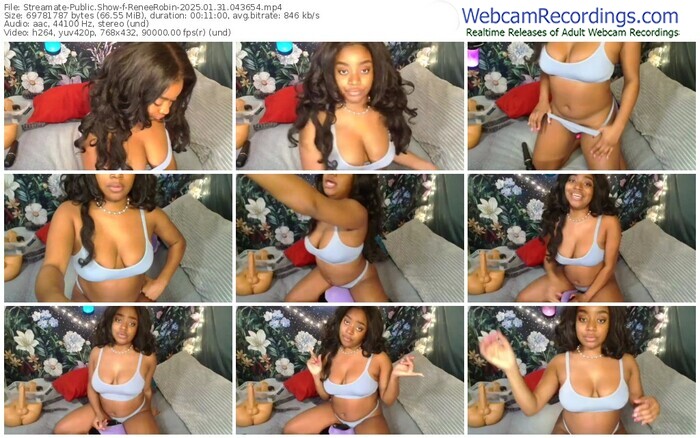 streamate-reneerobin-01-31-2025-04-36-54