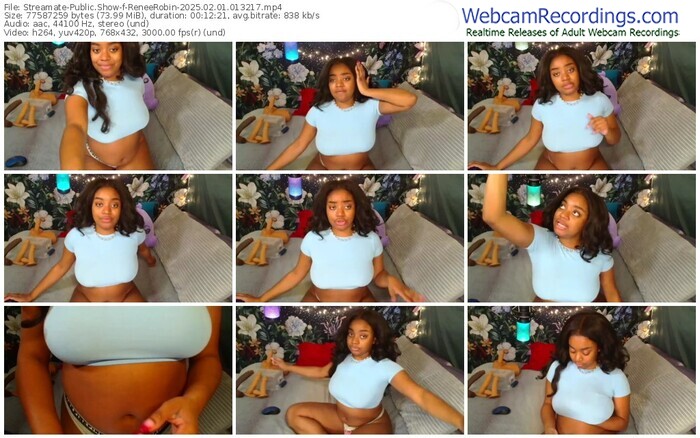 streamate-reneerobin-02-01-2025-01-32-17