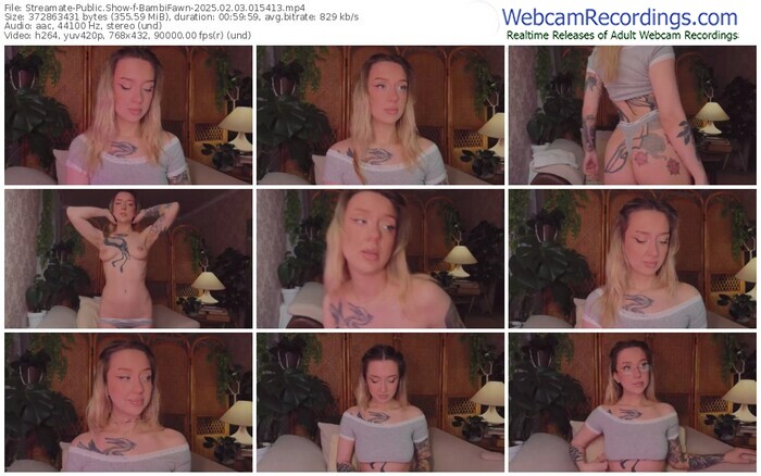 streamate-bambifawn-02-03-2025-01-54-13