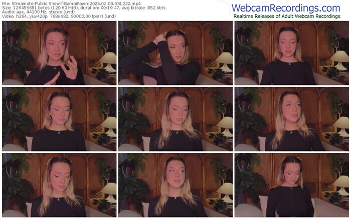 streamate-bambifawn-02-03-2025-03-12-22