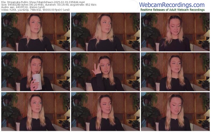 streamate-bambifawn-02-03-2025-03-58-44