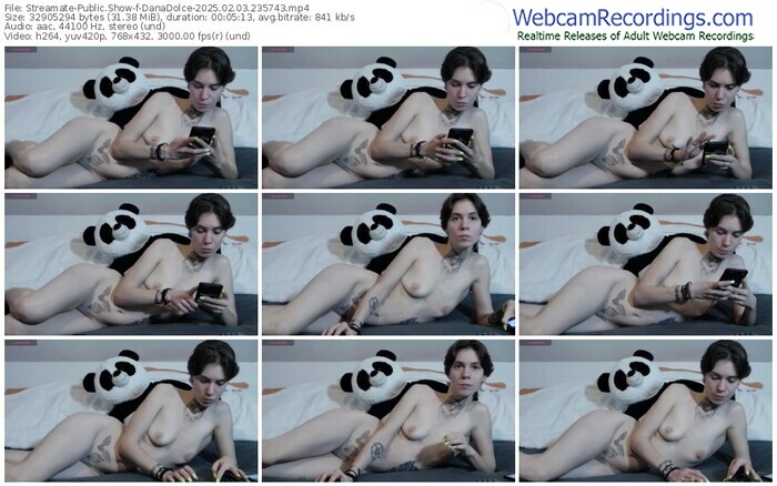 streamate-danadolce-02-03-2025-23-57-43