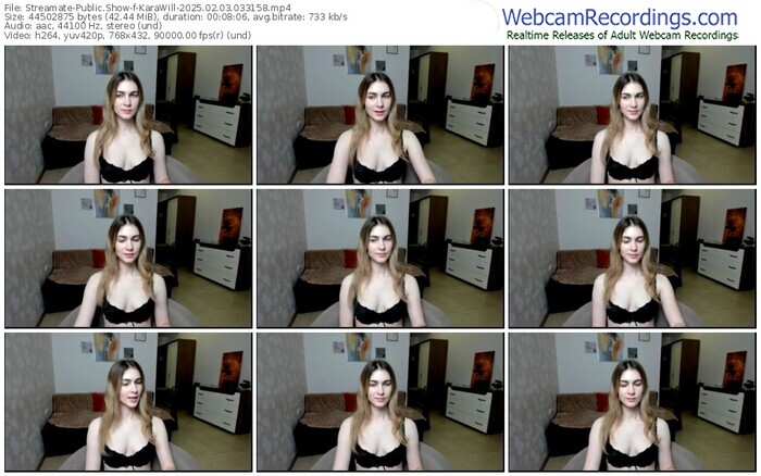 streamate-karawill-02-03-2025-03-31-58