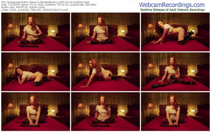 streamate-littleredbunny-02-03-2025-04-09-19