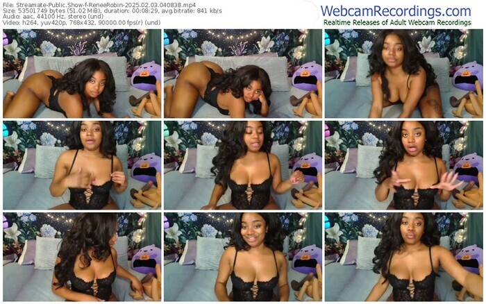 streamate-reneerobin-02-03-2025-04-08-38