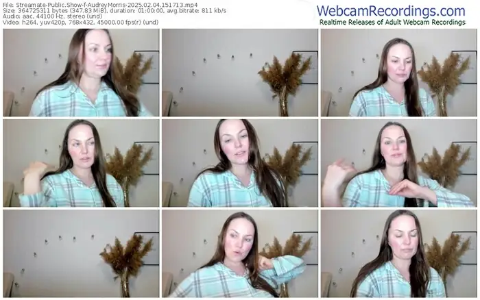 streamate-audreymorris-02-04-2025-15-17-13